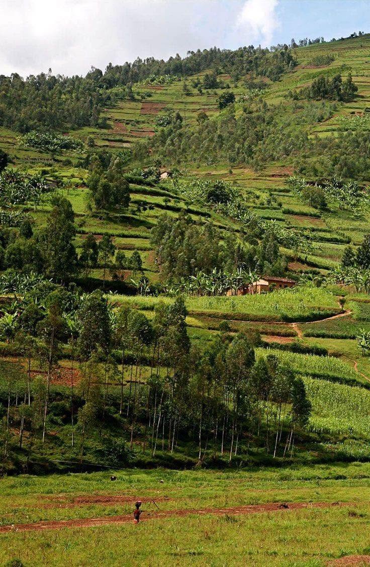 Why Add Rwanda to Your East Africa Itinerary?